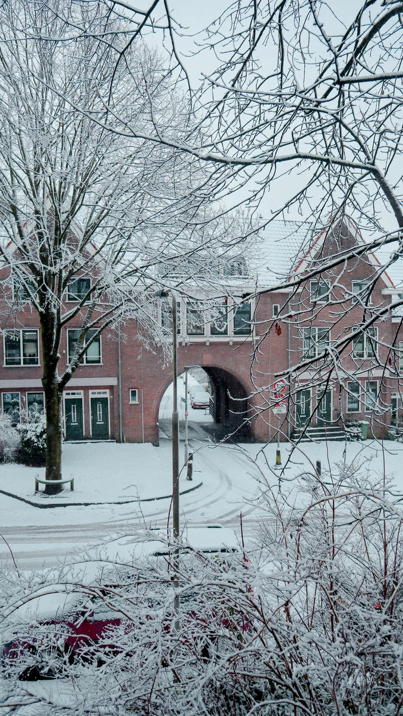 A snowy street with bare trees and a brick archway