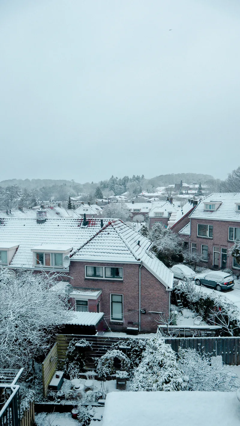 Snow-covered rooftops and gardens