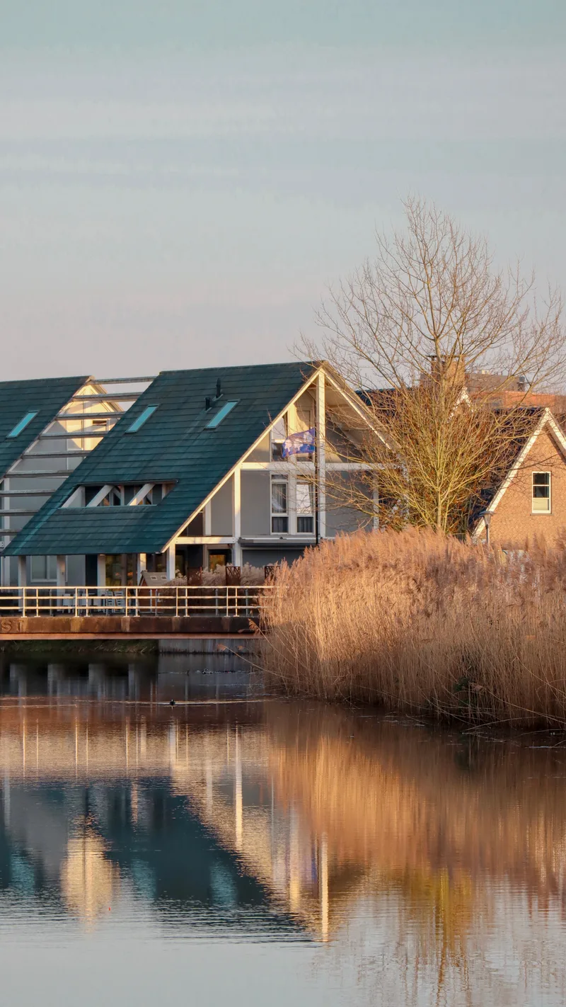 Modern houses with dark roofs reflected in still water beside reeds