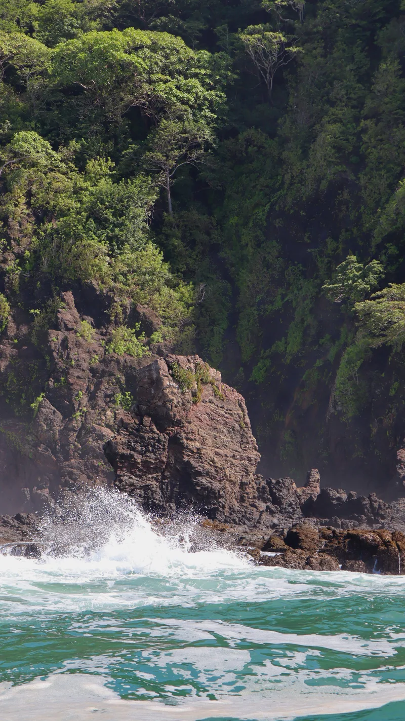 Waves breaking against a rocky shore below dense tropical forest