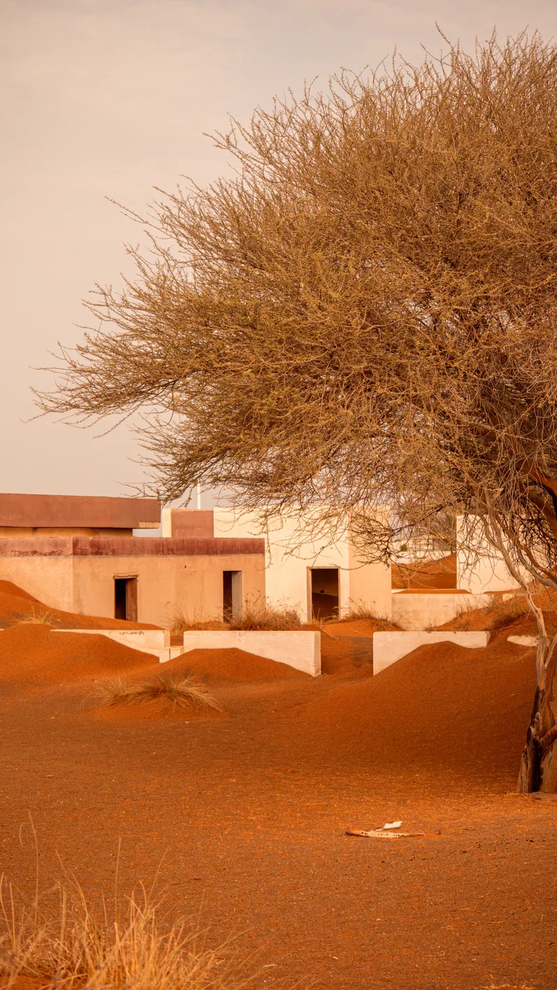 A bare tree beside sand-covered abandoned houses