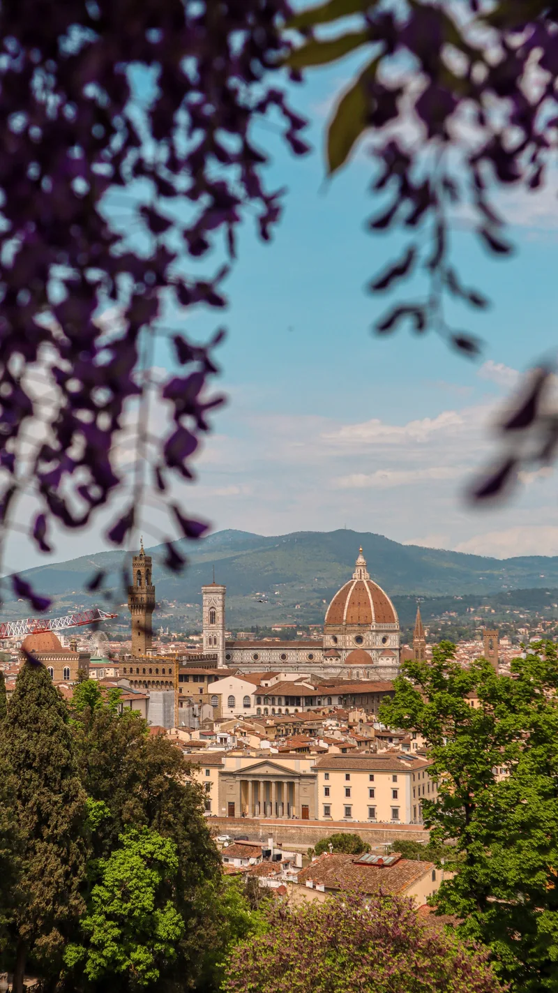 The domes and towers of Florence framed by hanging wisteria
