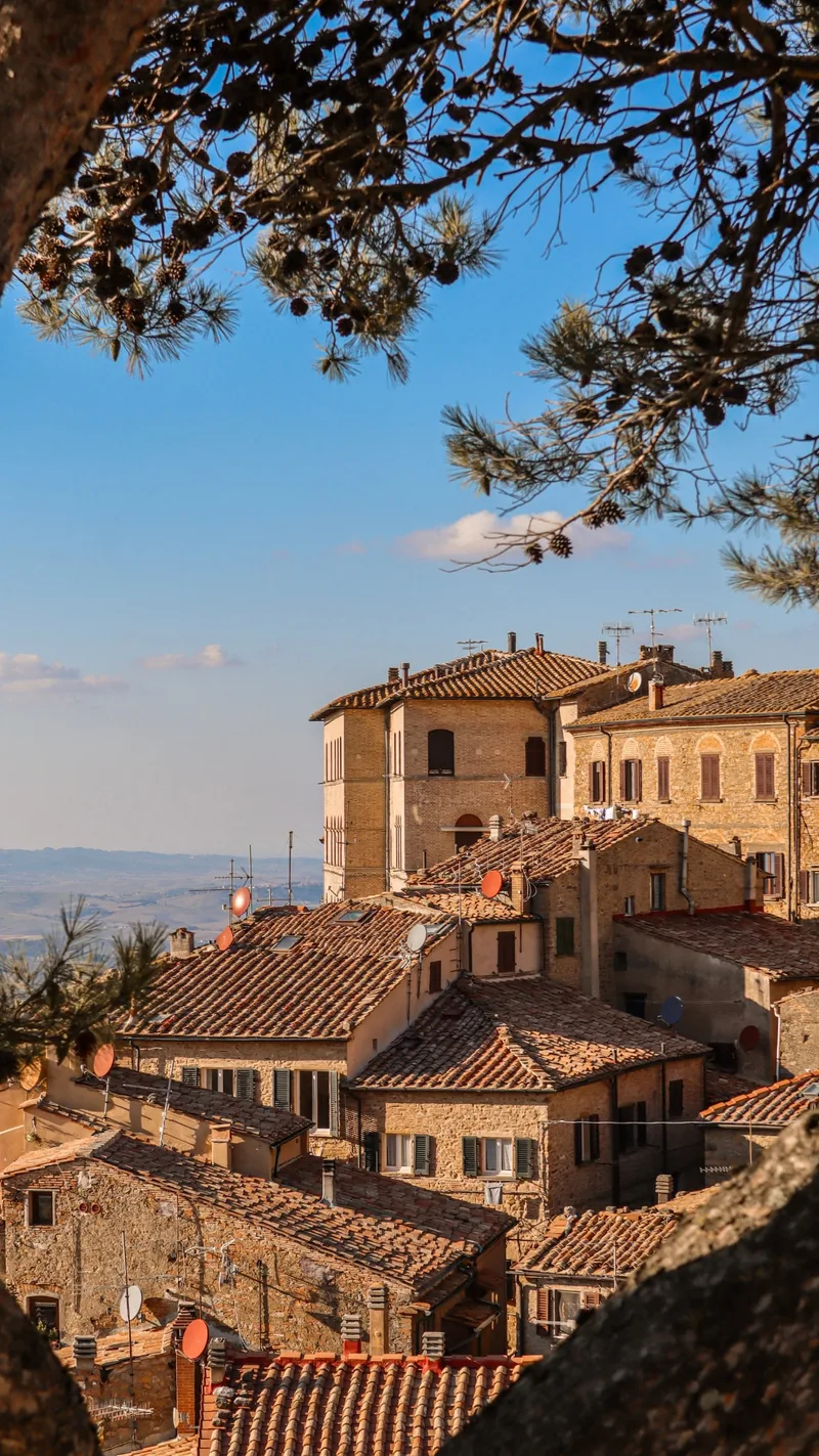 Terracotta rooftops of a Tuscan hill town framed by pine branches
