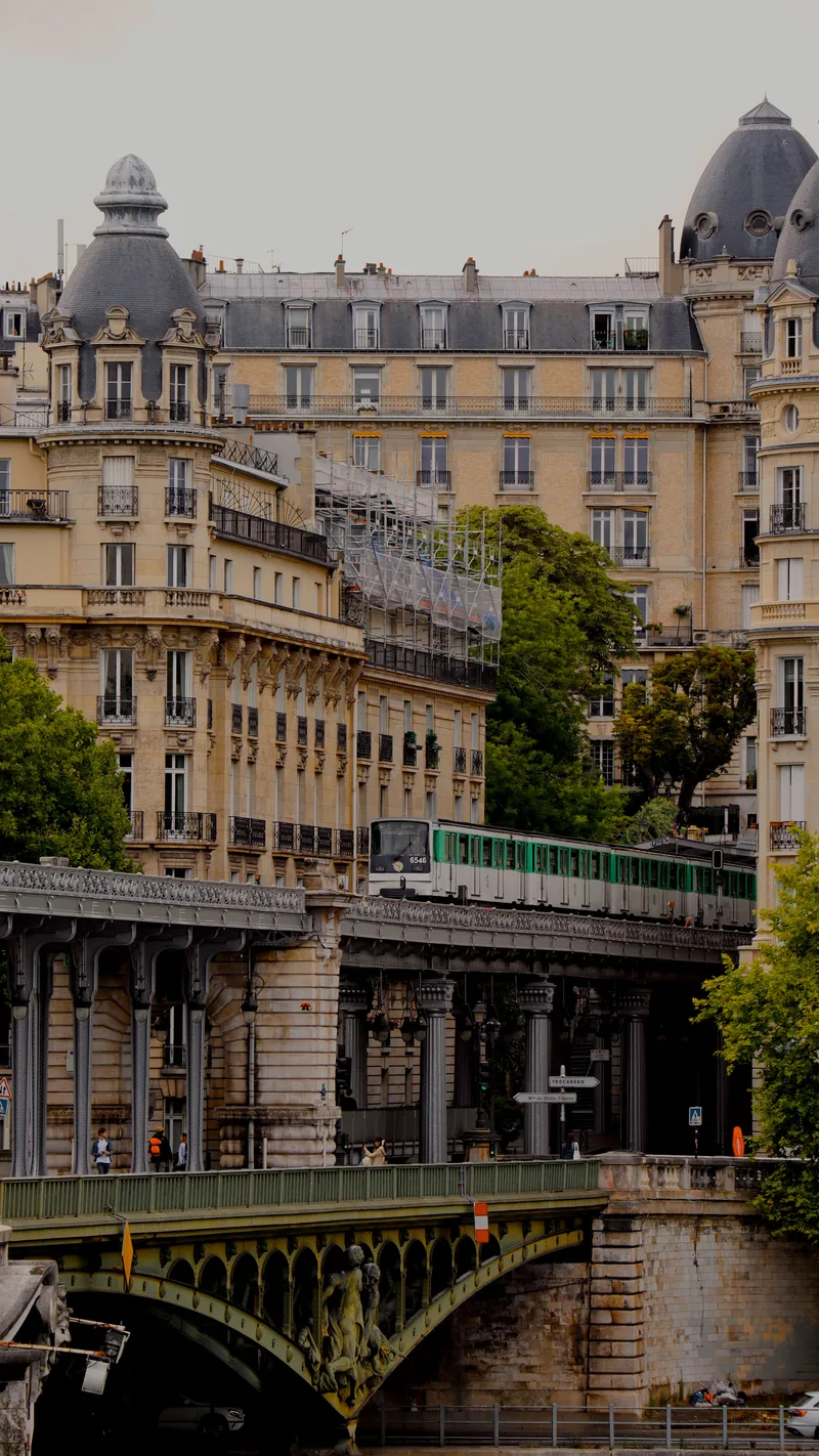 A metro train crossing the Pont de Bir-Hakeim in front of grand apartment buildings