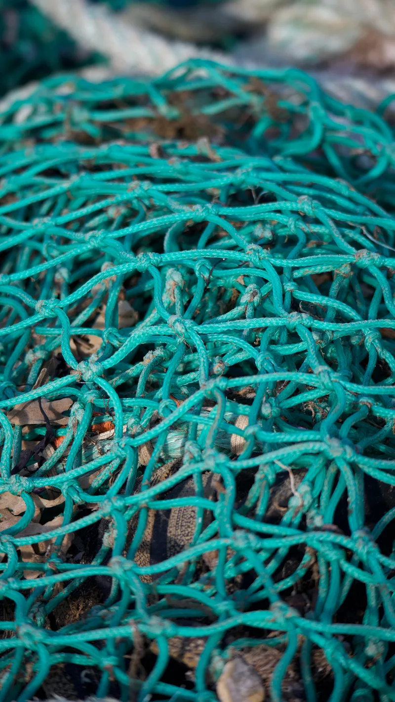 A tangle of turquoise fishing net