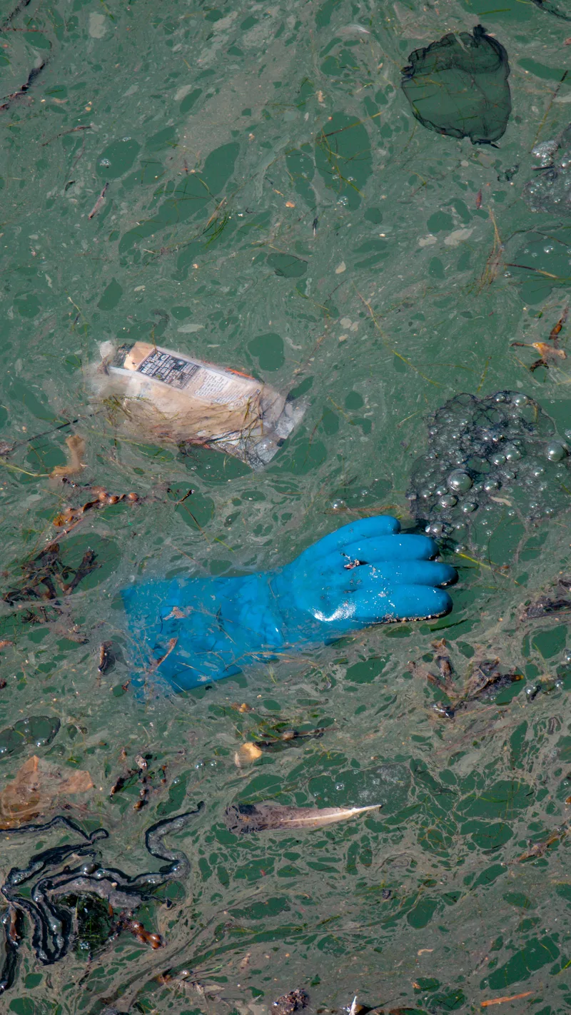 A blue rubber glove and litter floating in green water