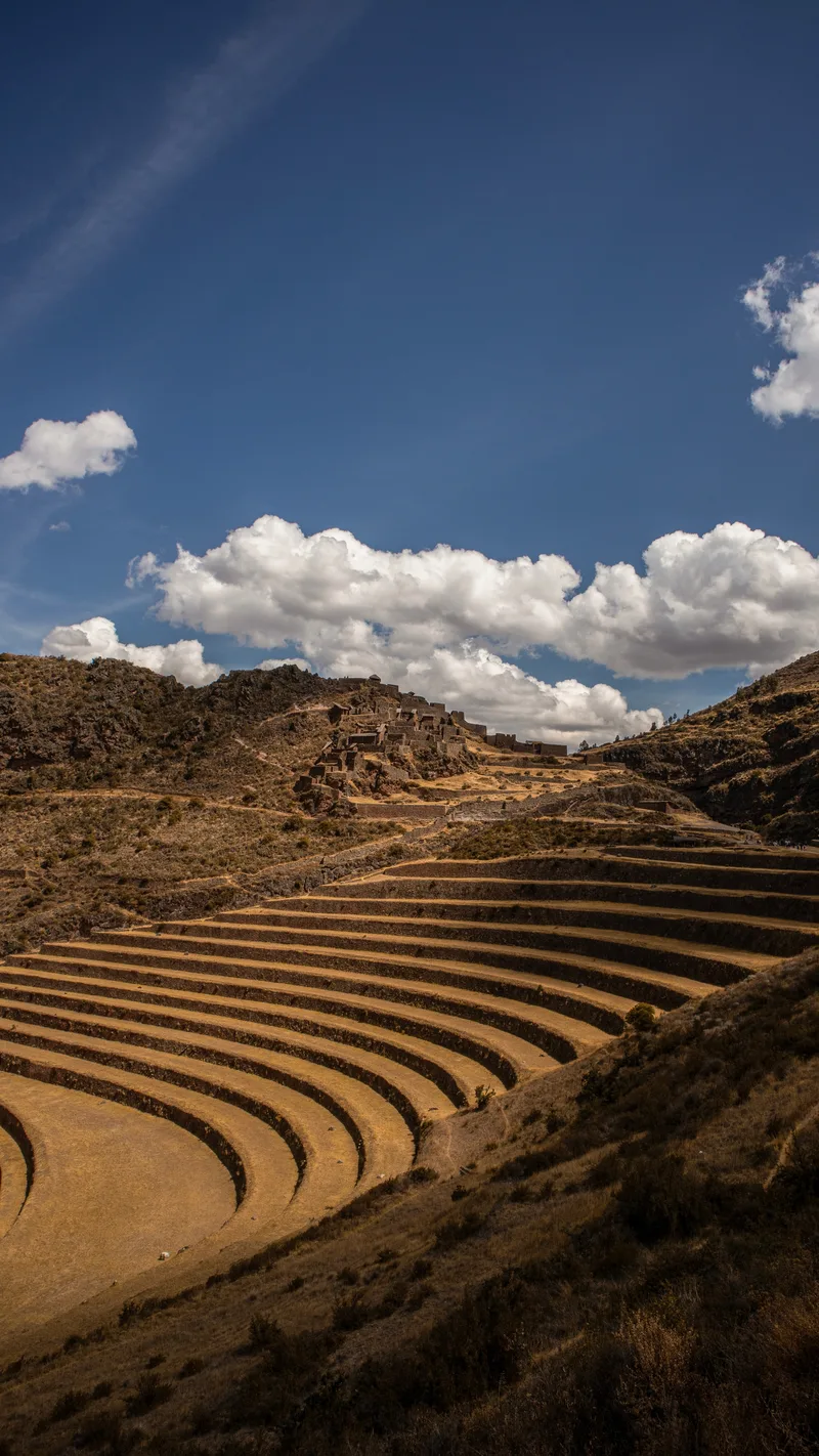 Curved Inca agricultural terraces on a dry hillside under a blue sky