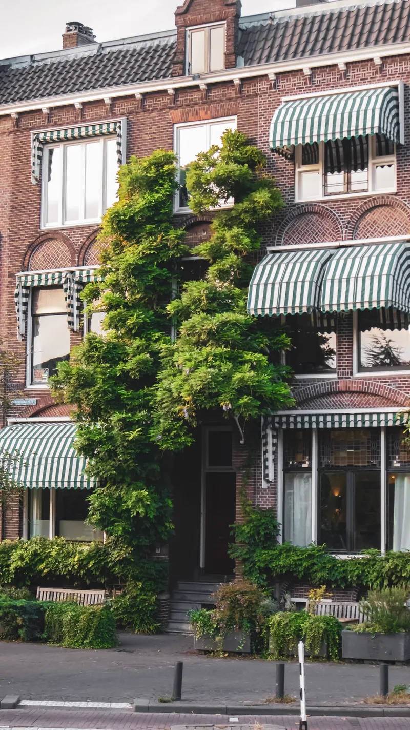 A brick townhouse with striped awnings and climbing plants